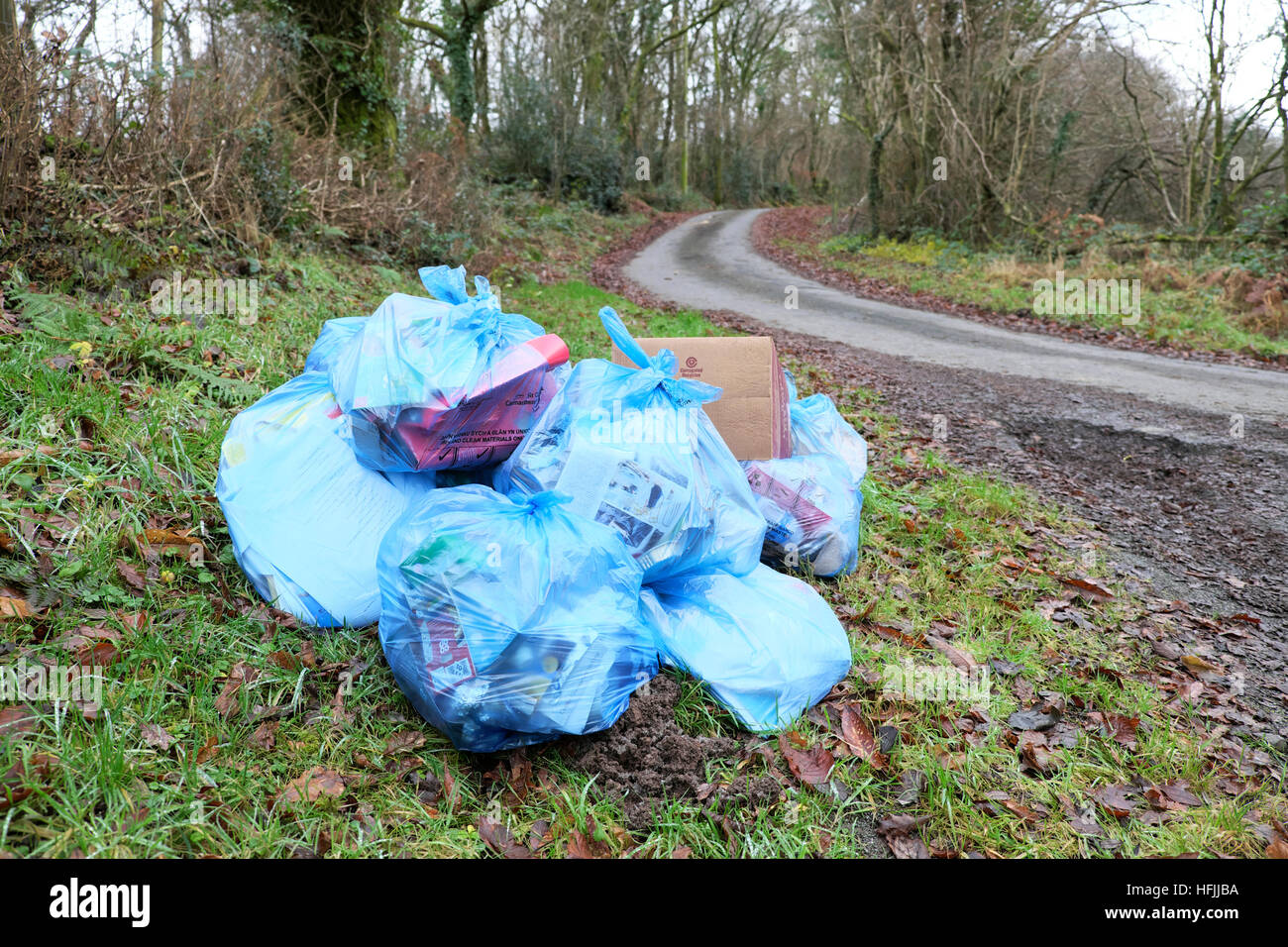 Blue recycled rubbish bags awaiting collection in a rural landscape in