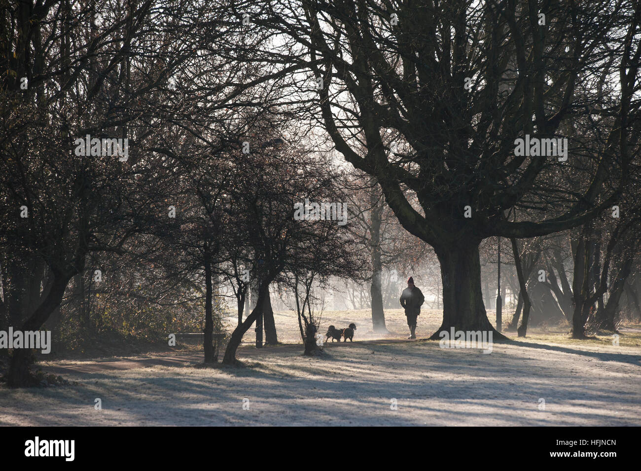 Dog Walking on a freezing cold, frosty, misty day Stock Photo Alamy