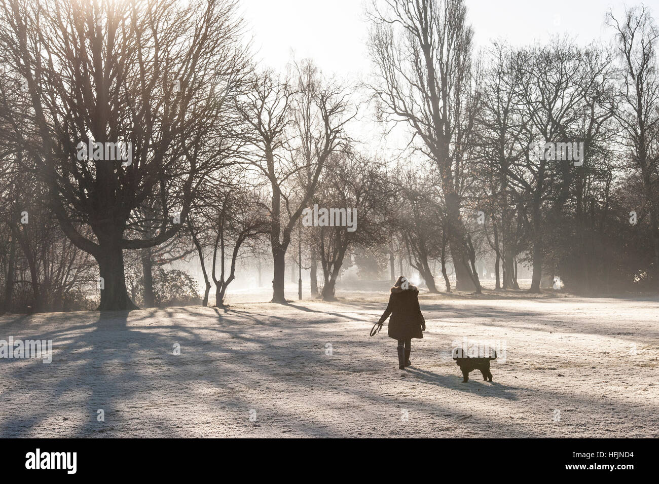 Dog Walking on a freezing cold, frosty, misty day Stock Photo Alamy
