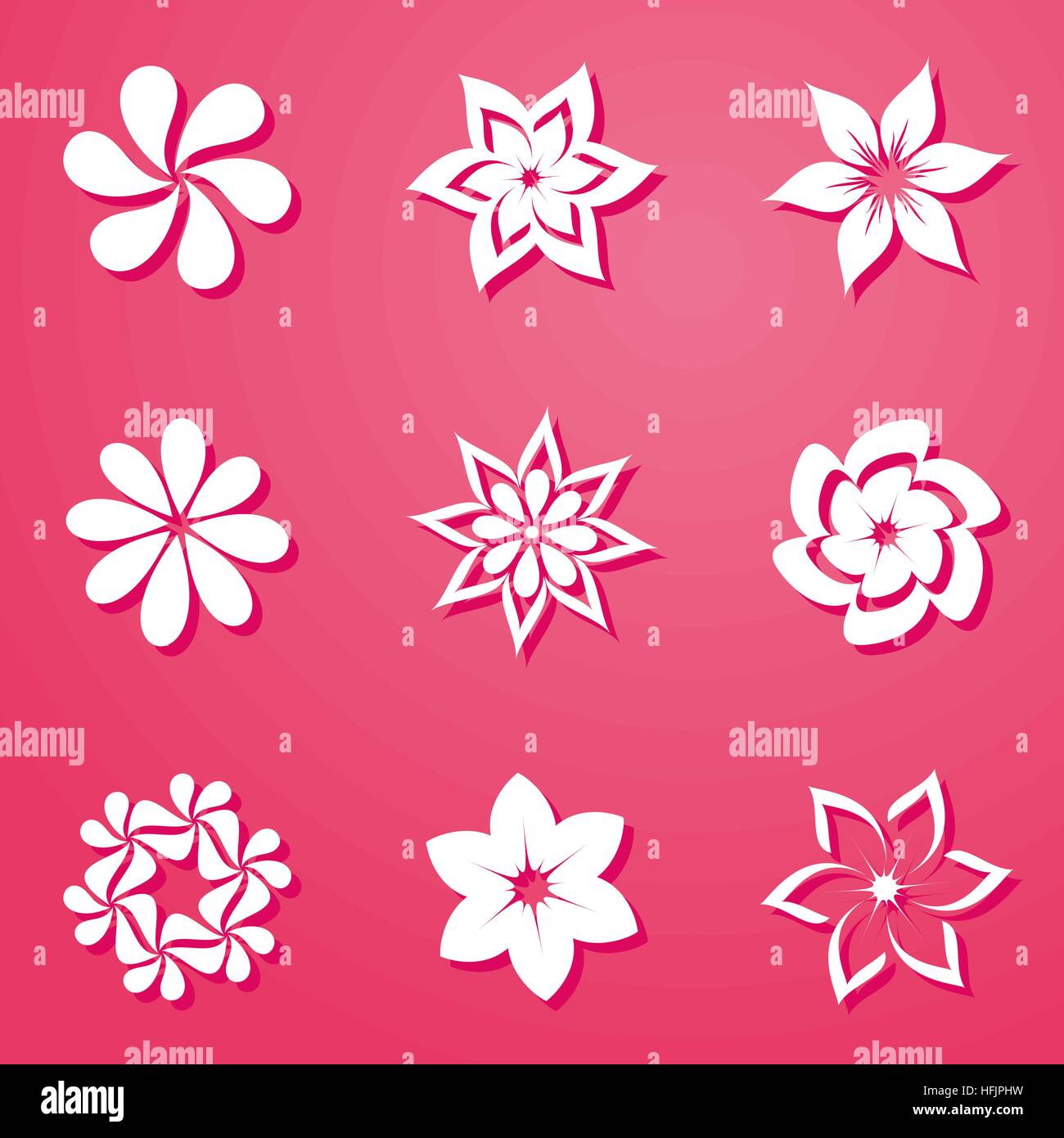 Set of beautiful white flowers on pink background Stock Vector Image ...