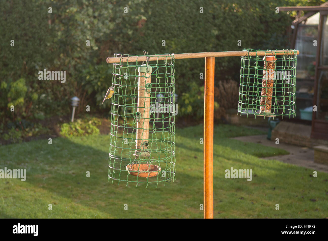 Home Made Bird Feeder Protector To Protect Small Birds From