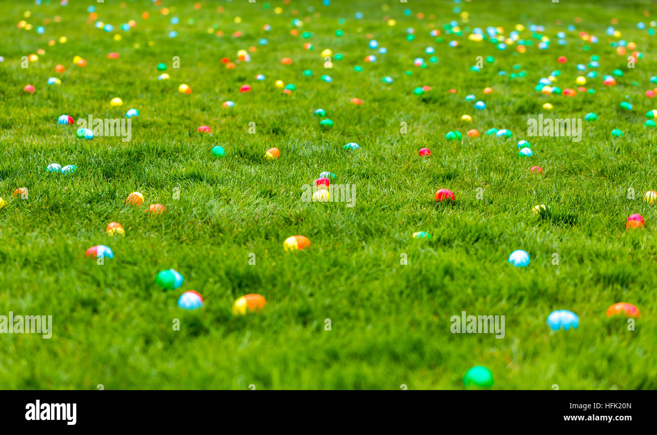 A spring meadow with Easter eggs hidden in the grass Stock Photo