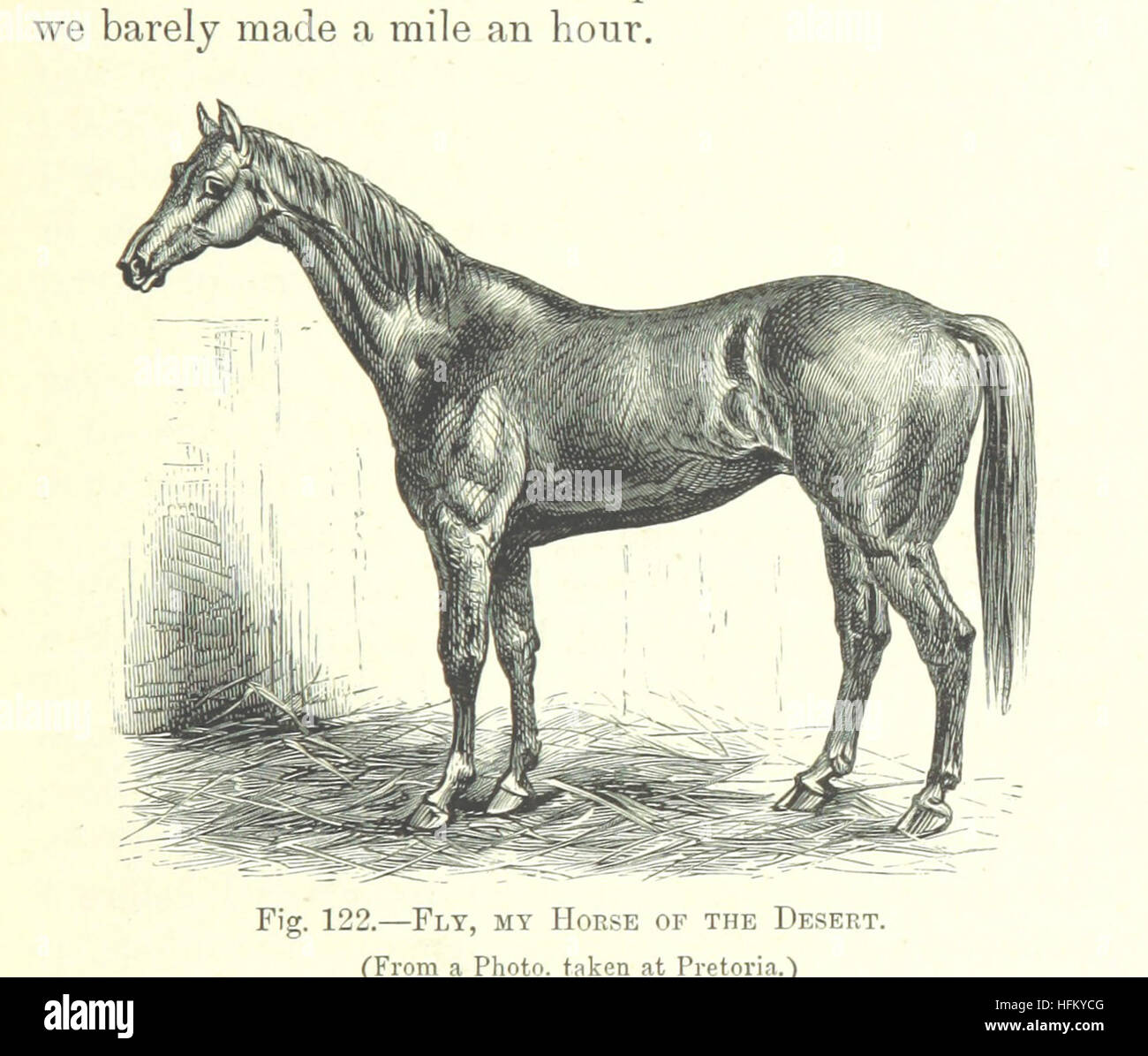 How I crossed Africa: from the Atlantic to the Indian Ocean