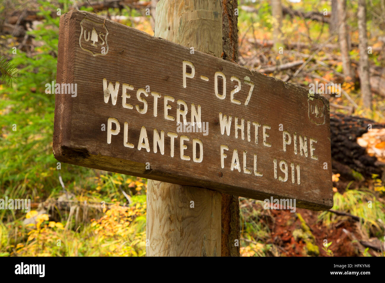 Savenac nursery hires stock photography and images Alamy