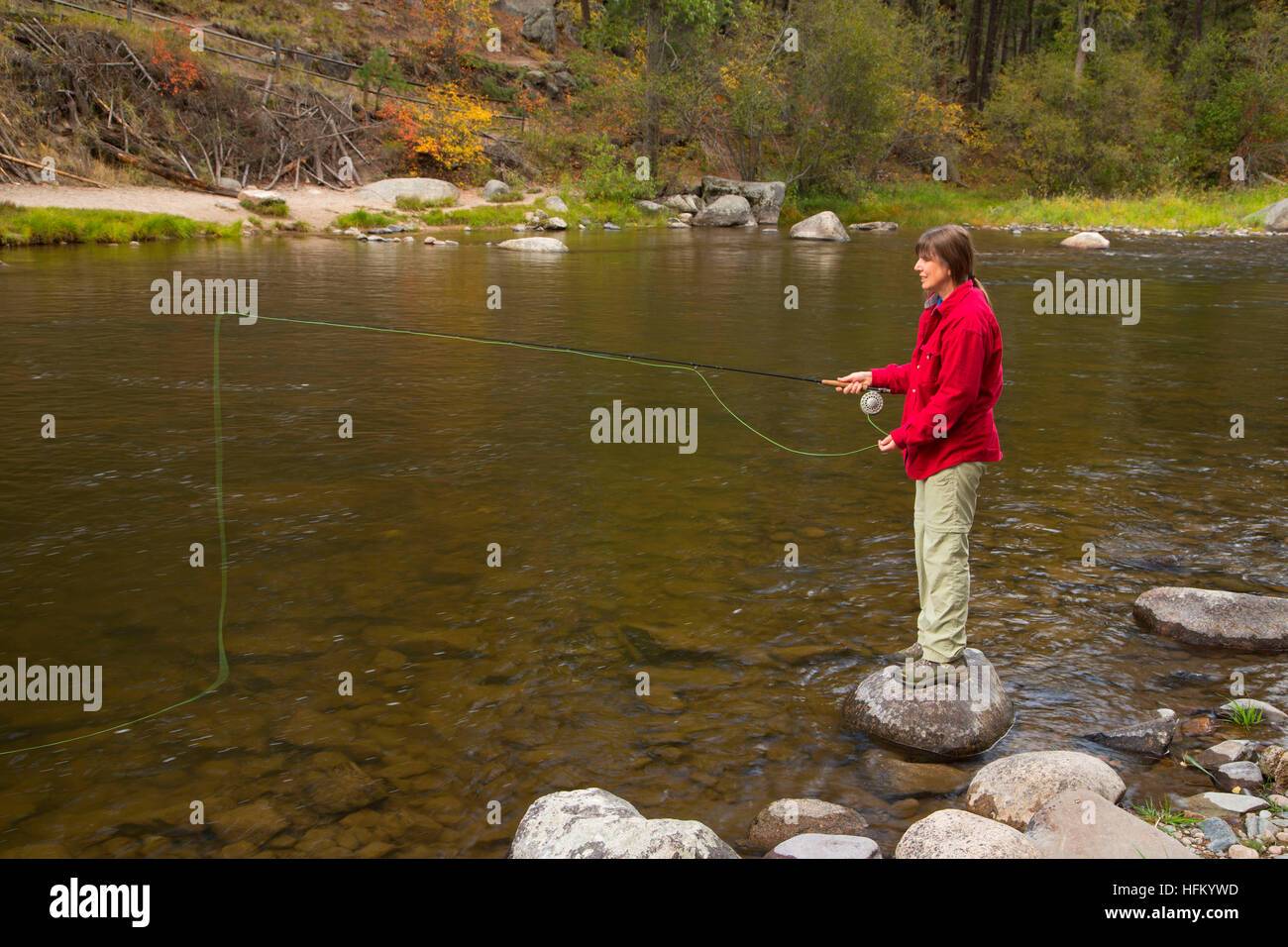Flyfishing Rock Creek, Lolo National Forest, Montana Stock Photo Alamy