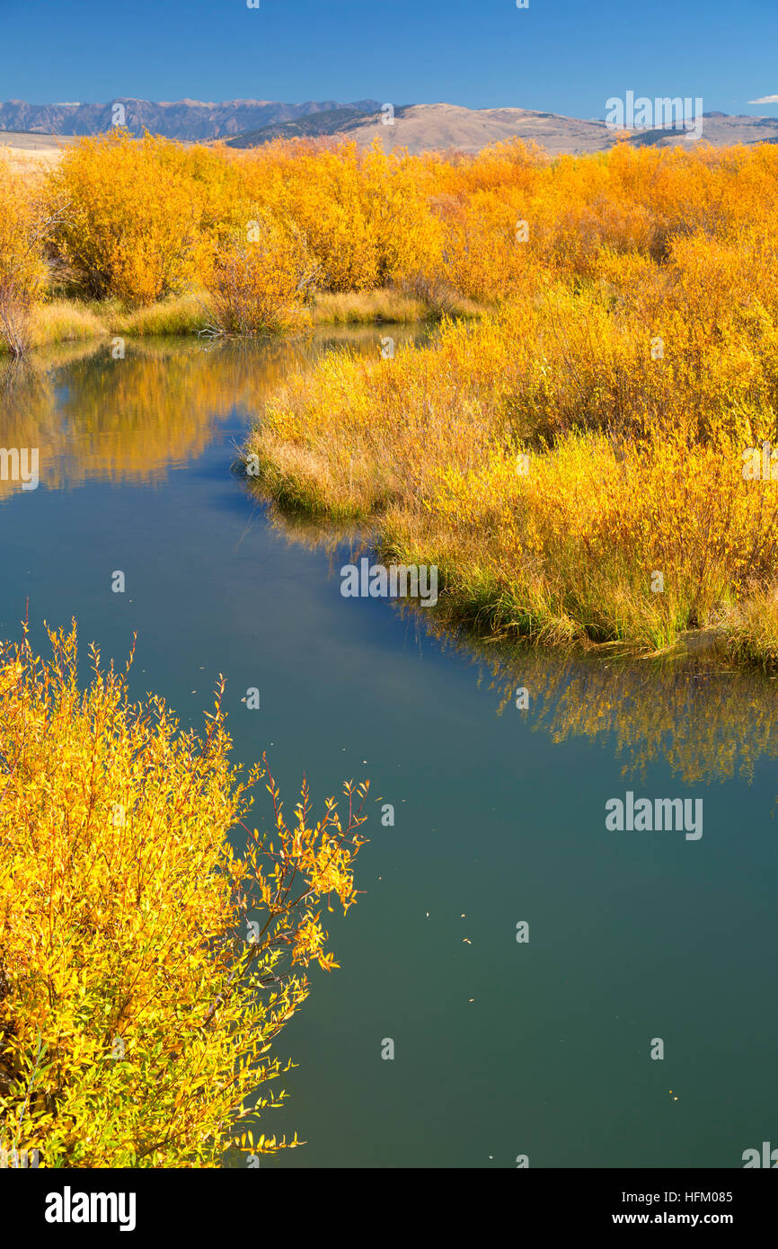 Kilde ulv træfning Odell Creek along Sparrow Ponds Trail, Red Rock Lakes National Wildlife  Refuge, Montana Stock Photo - Alamy