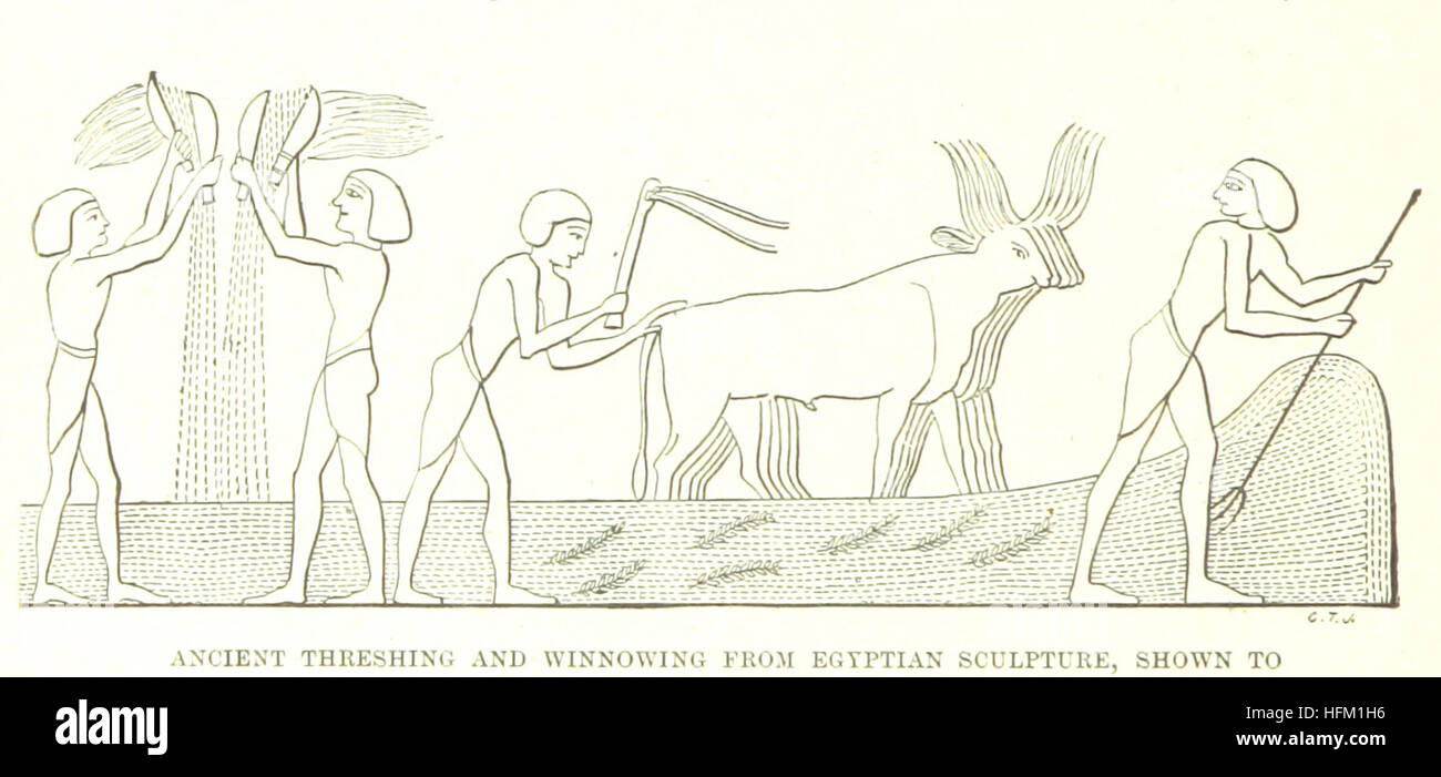 Image taken from page 290 of 'Pictured Palestine ... With eighty illustrations, etc' Image taken from page 290 of 'Pictured Palestine  With Stock Photo