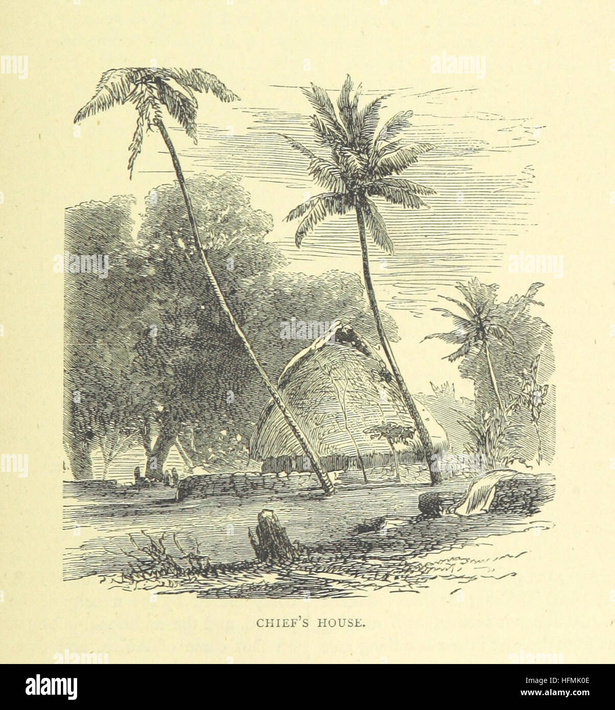 Life and Discoveries of David Livingstone with wood engravings