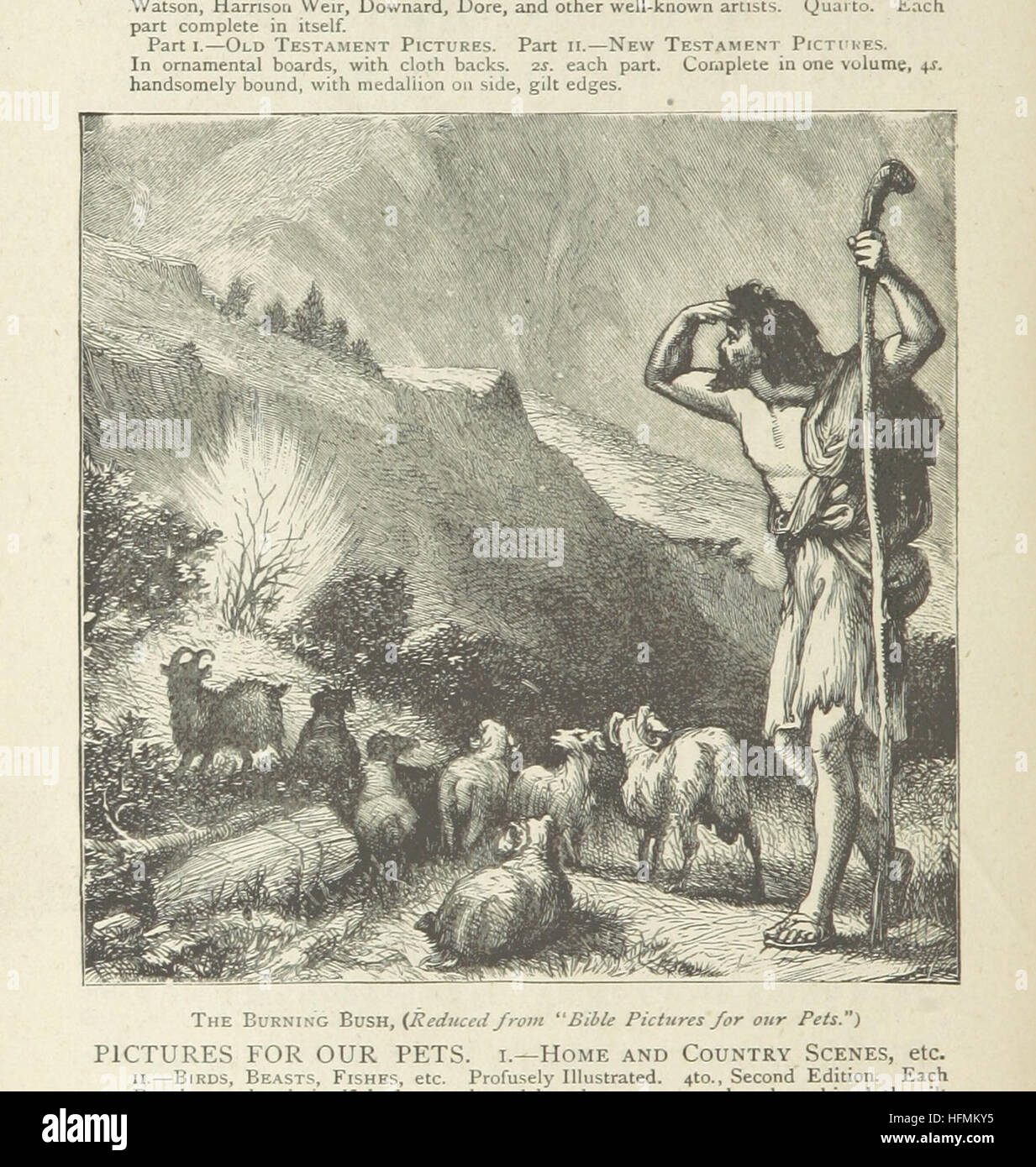 The Prism. Unequally Yoked Life in a Swiss Chalet From Darkness