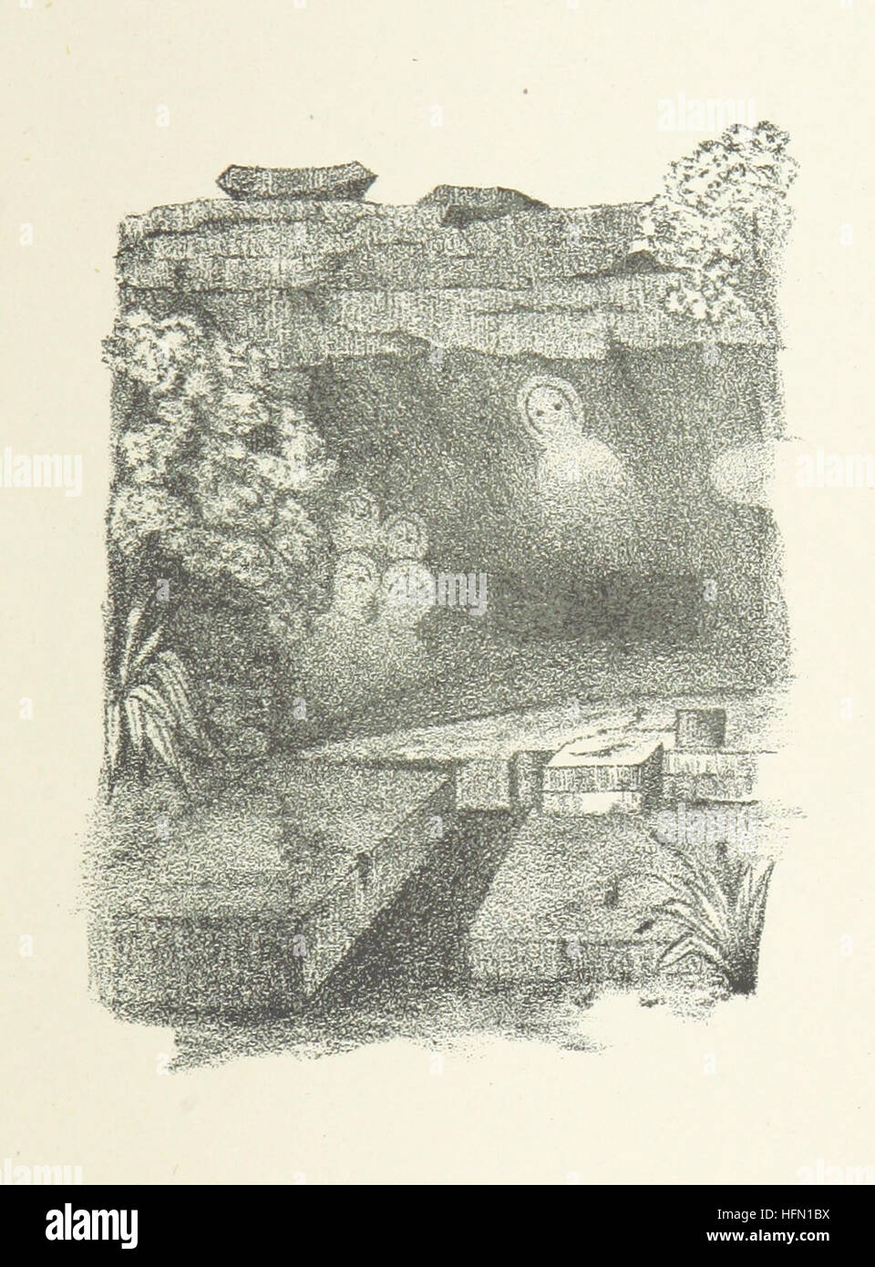 A detailed account of the history of Australian exploration from its ...
