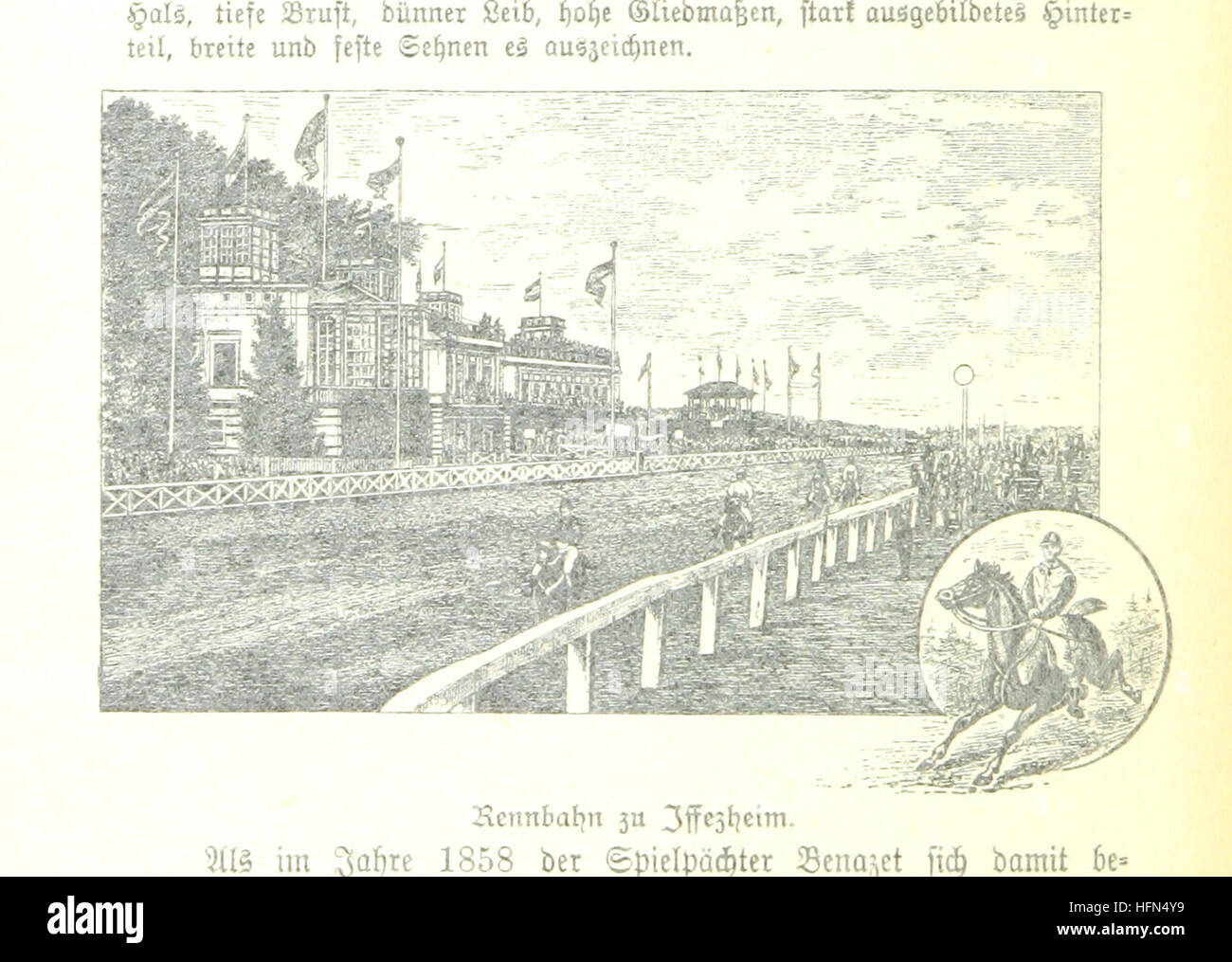 Geschichte der Stadt Baden von den ältesten Zeiten bis auf die