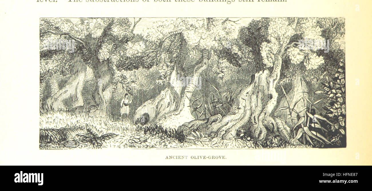 Greece pictorial, descriptive & historical With a history of
