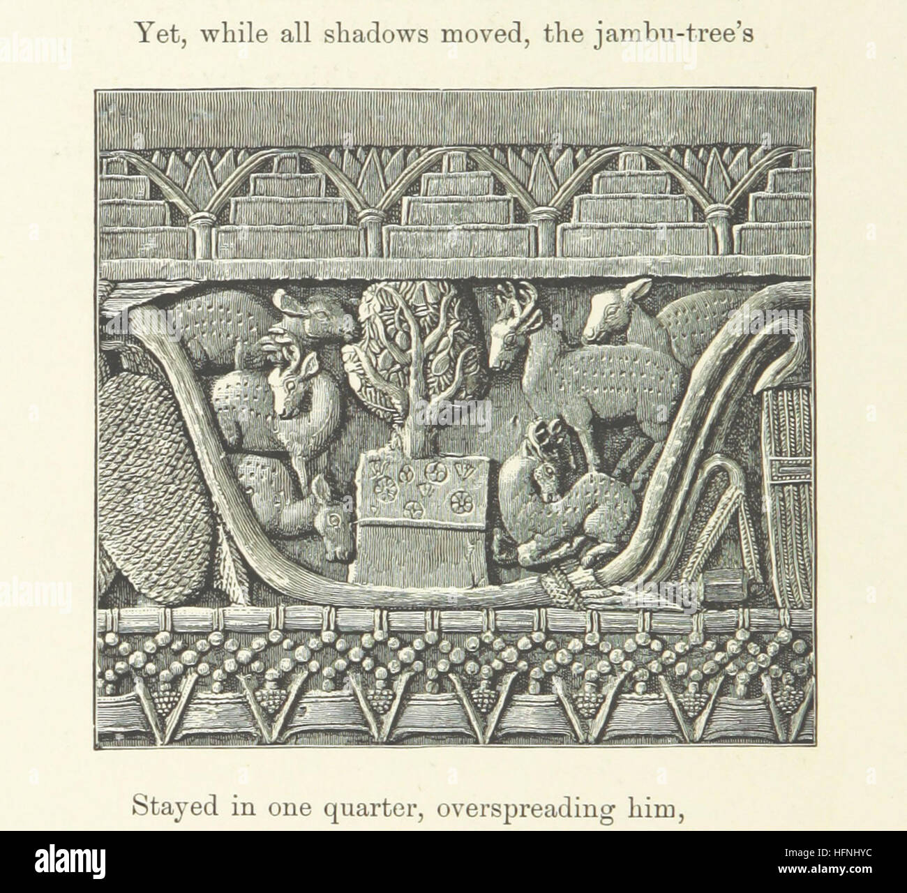 😀 The life of asia. • Life expectancy in Asia in 2018. 20190203