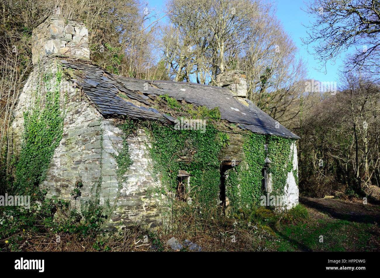 Derelict ruin ruins of Welsh stone cottage built in 1820 Nevern Pembrokeshire Wales Stock Photo