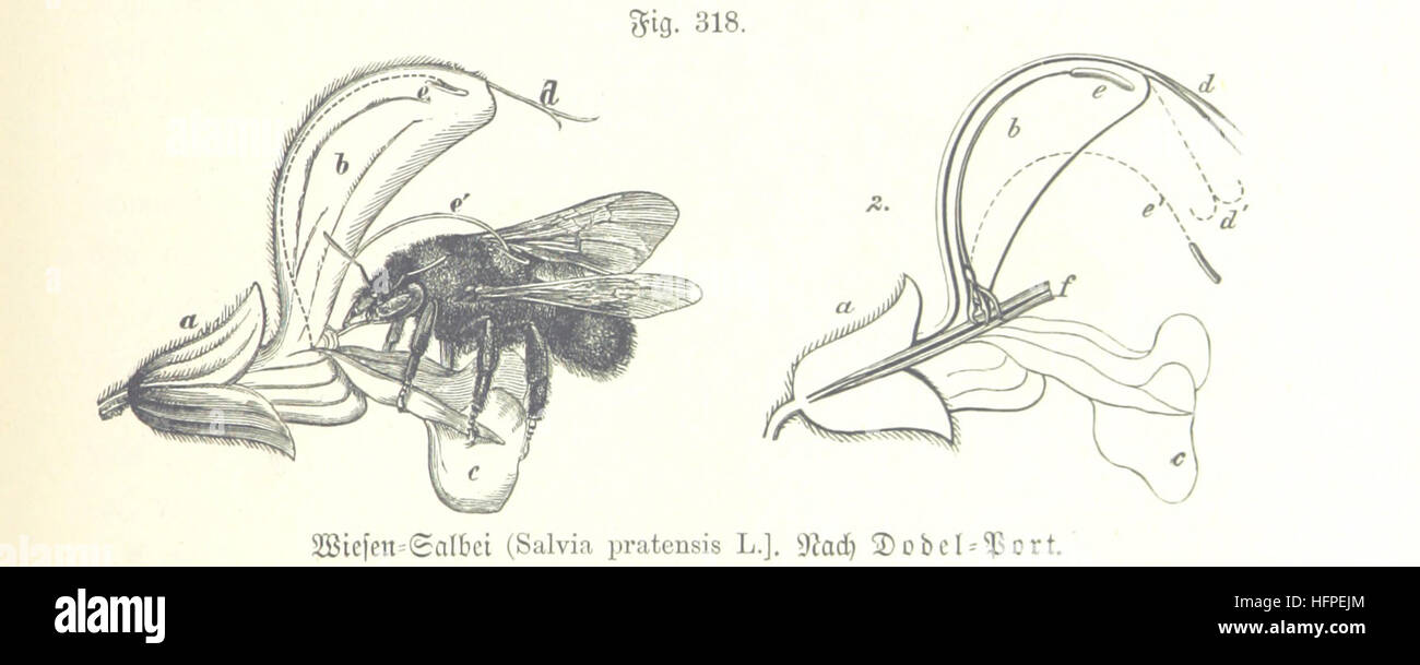 A page from 'Unser Wissen von der Erde', an extensive work on world ...