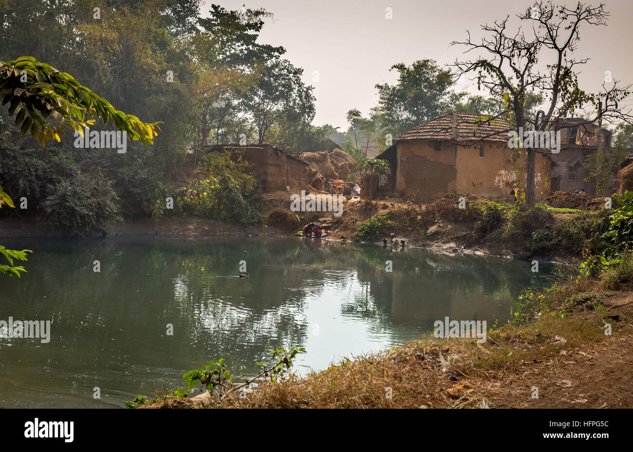 Scenic village pond with ducks swimming surrounded with mud houses