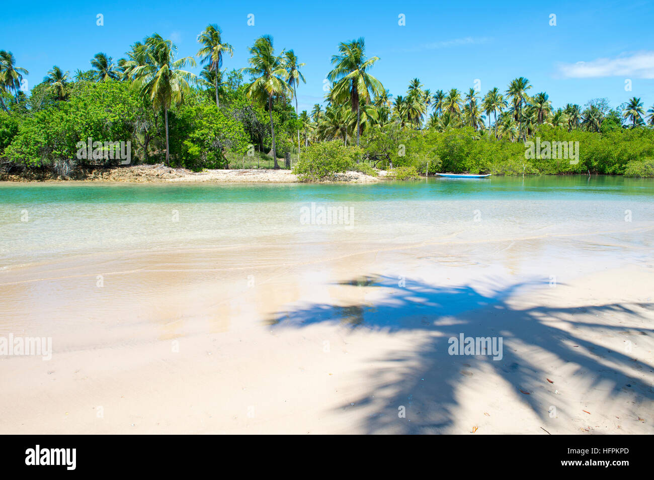 Bahia brazil coconut hi-res stock photography and images - Alamy