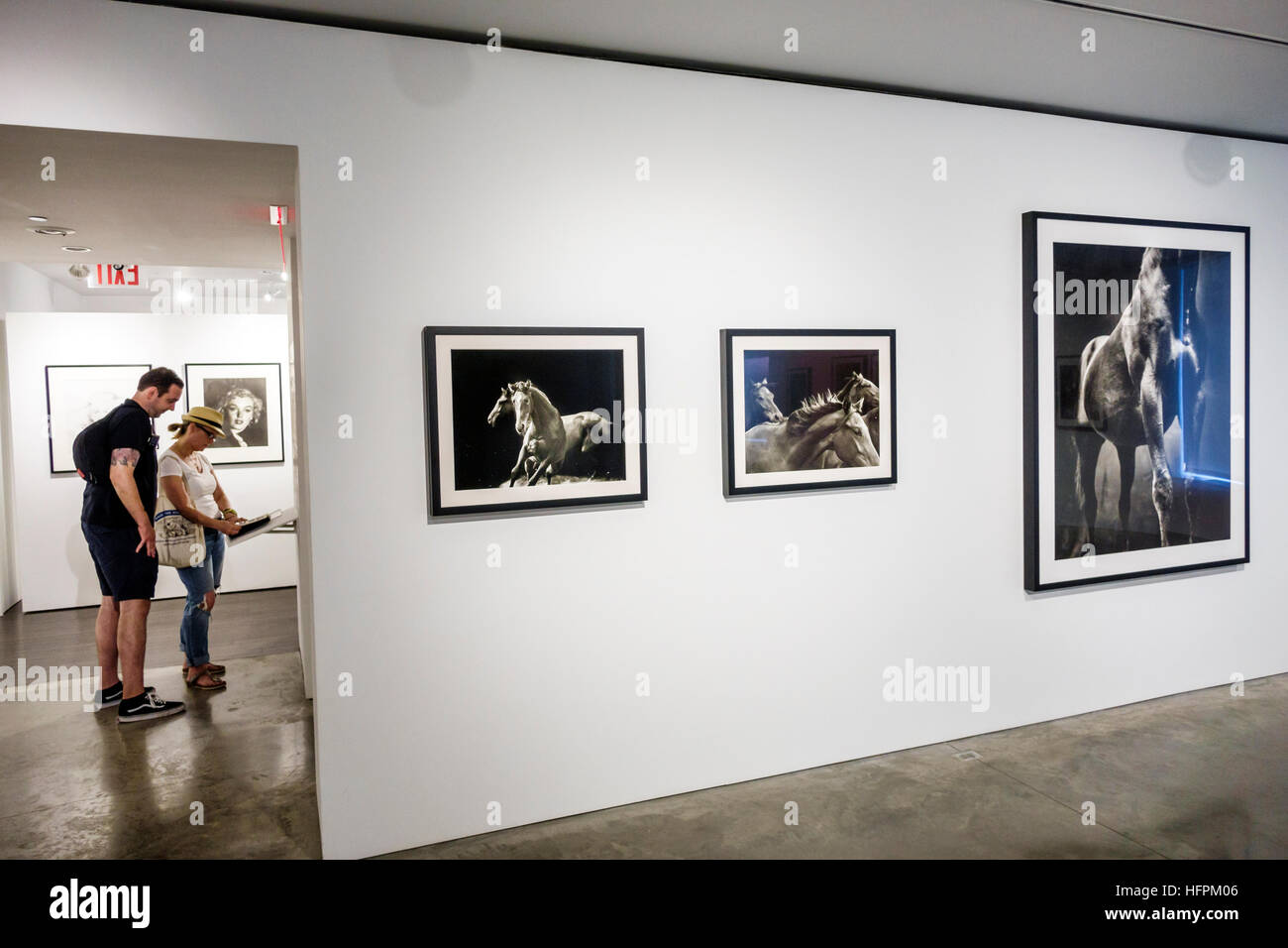 New York City,NY NYC,Manhattan,Chelsea,Steven Kasher Gallery