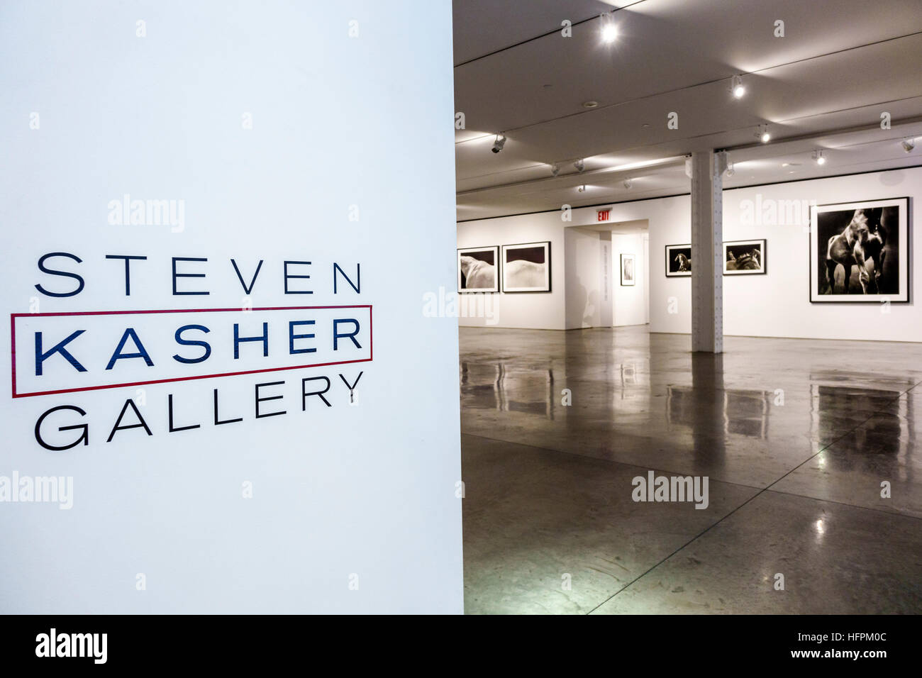 New York City,NY NYC Manhattan,Chelsea,Steven Kasher Gallery,photography,contemporary art,exhibit exhibition collection exhibit,American Thoroughbred, Stock Photo