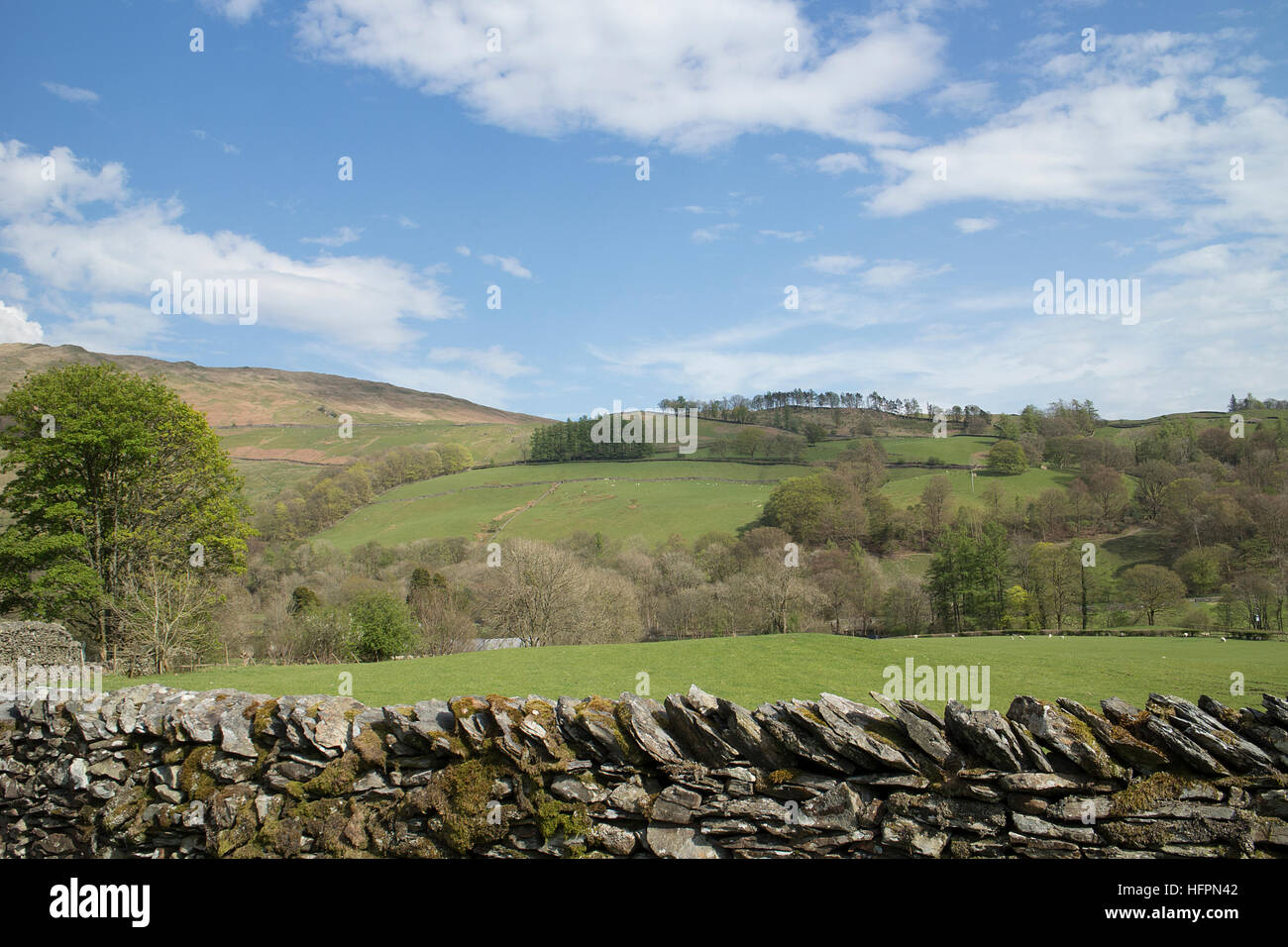 Dry stone wall , meadows and fells, Troutbeck near Windermere, Cumbria Stock Photo