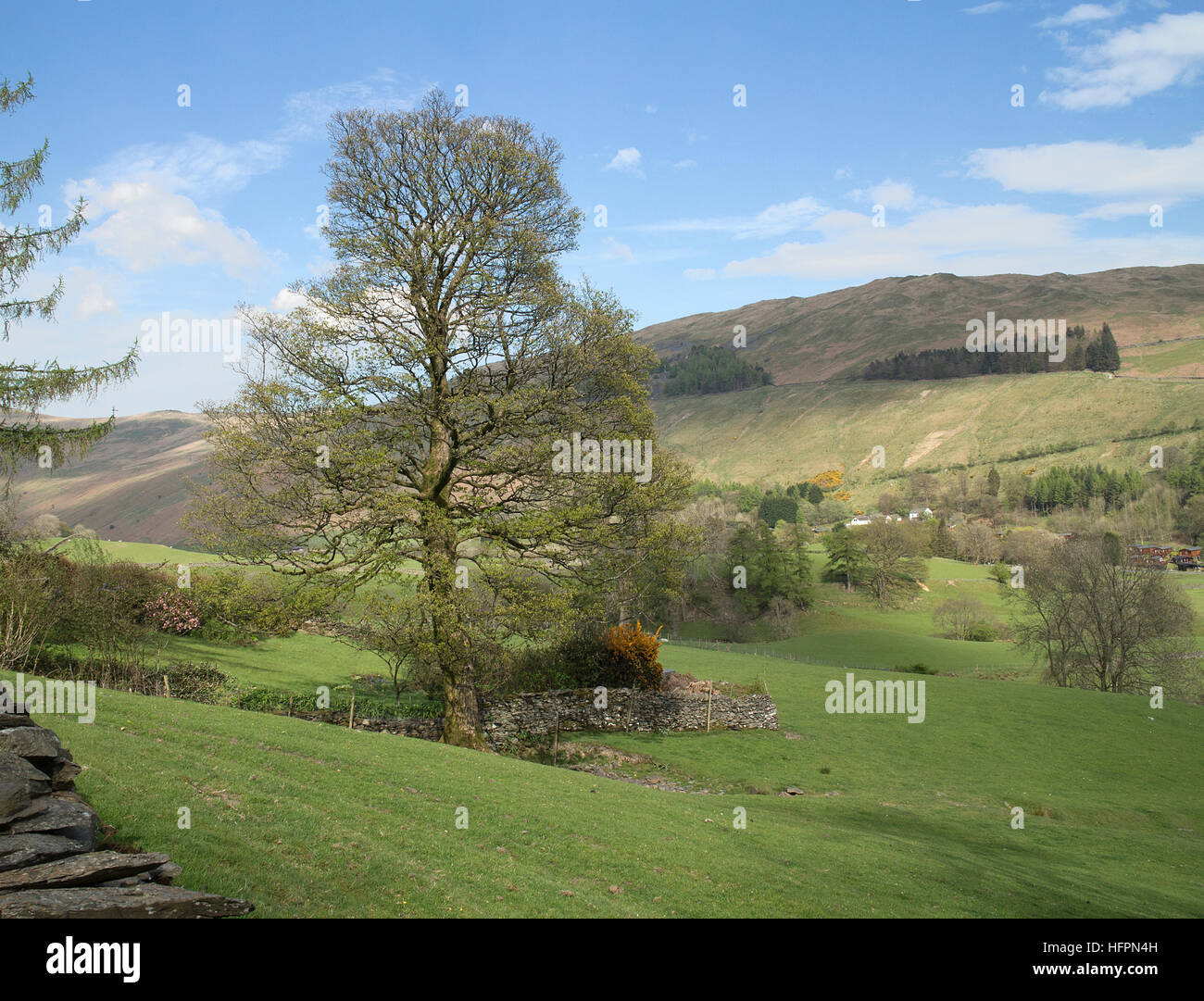 Meadows and fells, Troutbeck near Windermere, Cumbria Stock Photo
