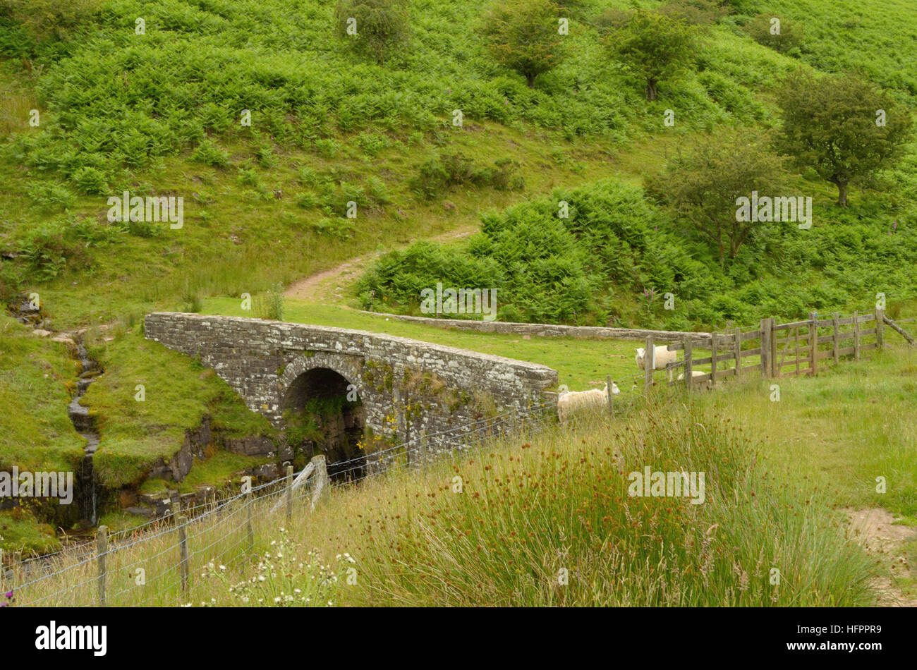 Tal-y-maes Bridge in the Grwynne Fechan Valley Stock Photo