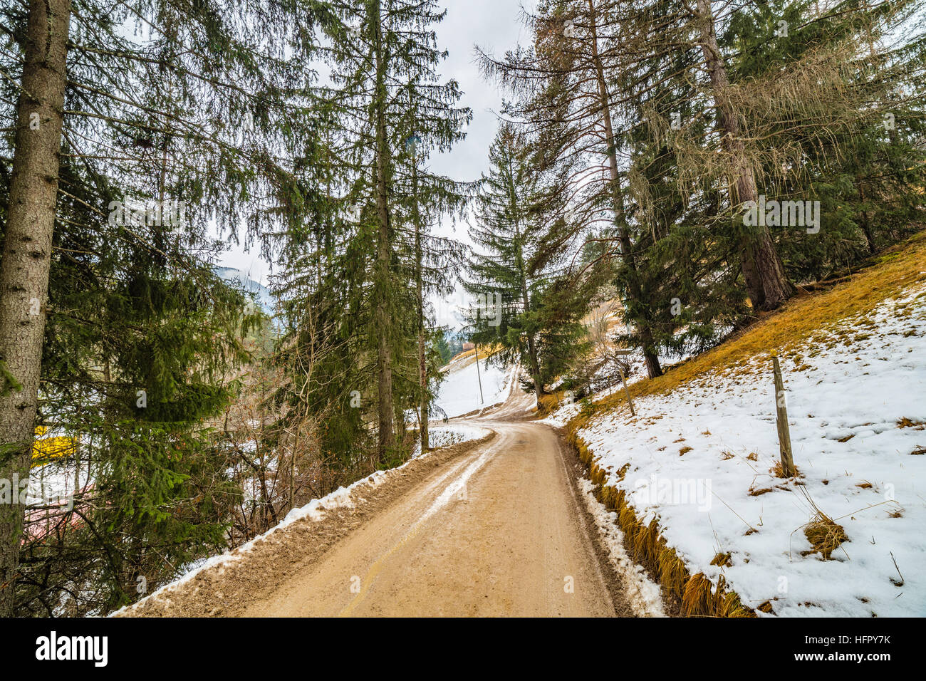 Dirt road crossing Alpine snowy forest in winter Stock Photo - Alamy