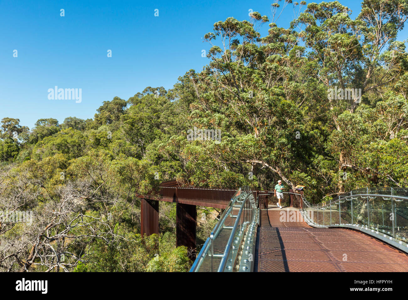 The Lotterywest Federation Walkway in Kings Park, Perth, Western Australia, Australia Stock Photo