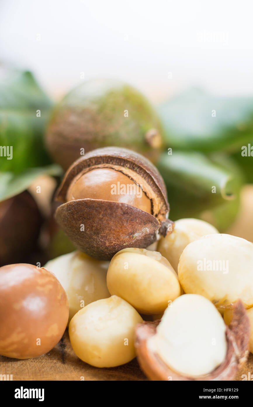 Macadamia nuts harvest close up Stock Photo Alamy
