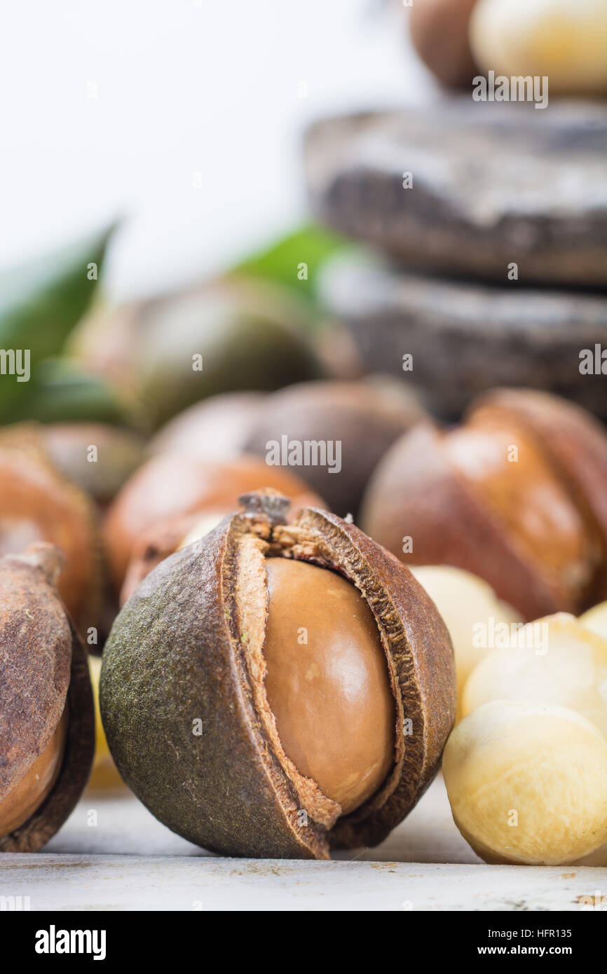 Macadamia nuts harvest close up Stock Photo Alamy