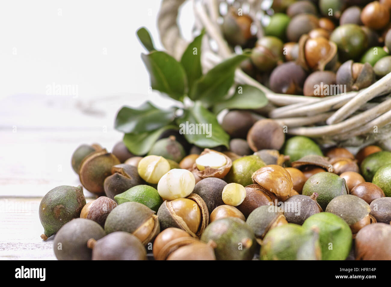 Macadamia nuts harvest close up Stock Photo Alamy