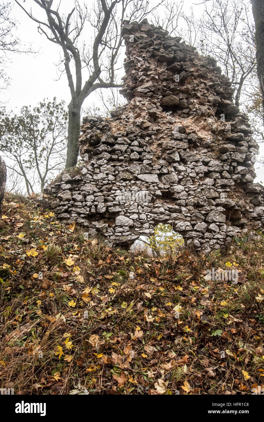 ruins of Ostry kamen castle bellow Zaruby hill in autumn Male Karpaty mountains in Western Slovakia Stock Photo