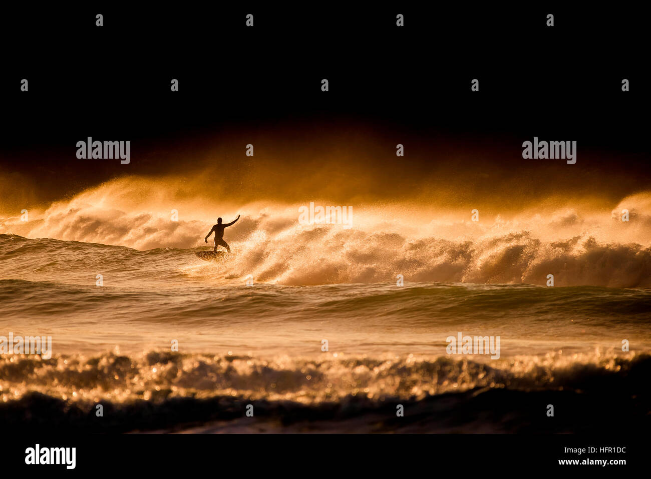 Surfer.  Surfing. UK. Stock Photo