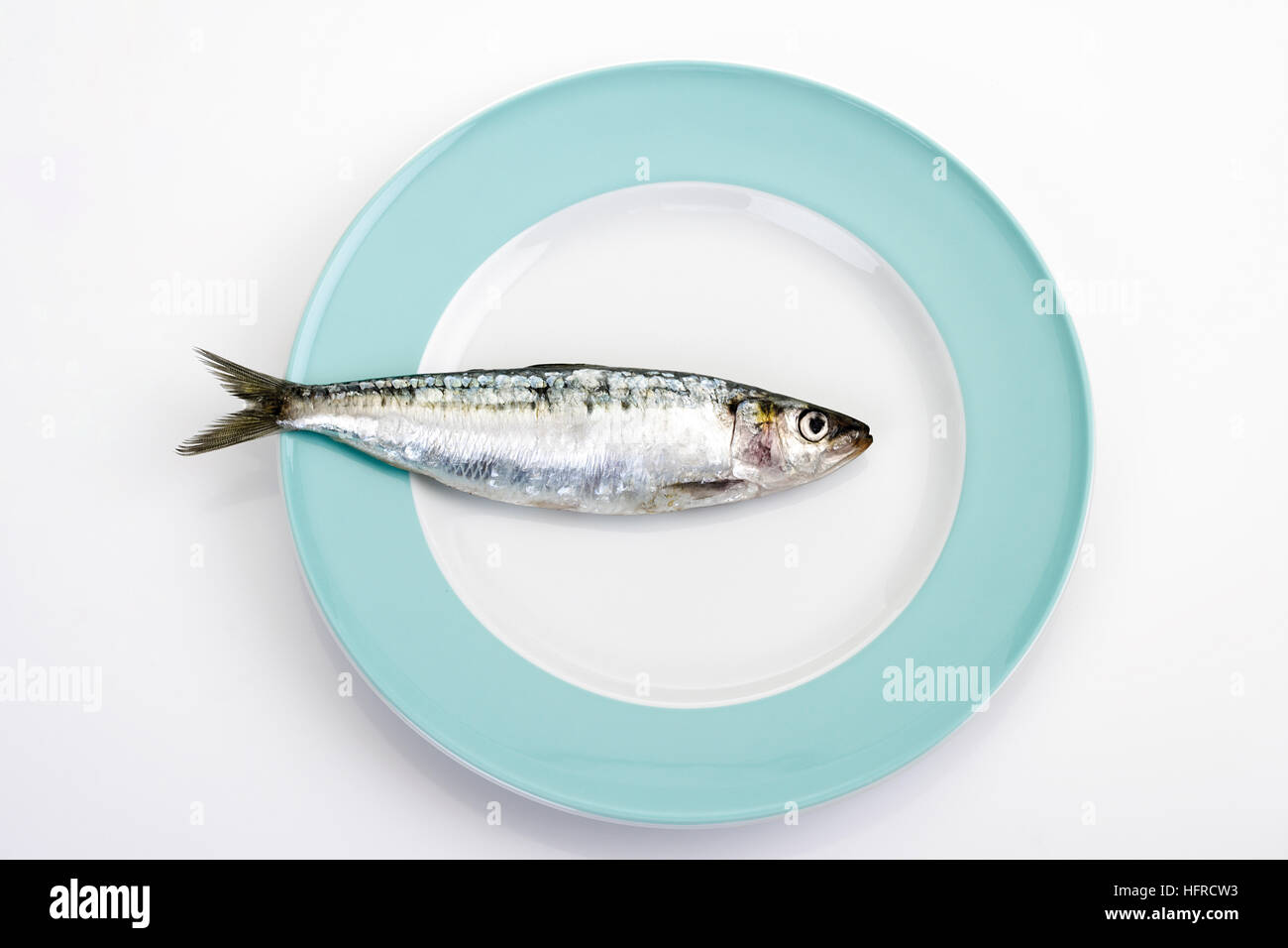 Sardine on a plate Stock Photo Alamy