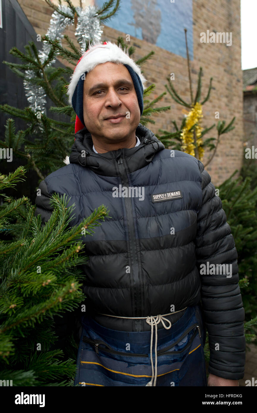 Asian trees hires stock photography and images Alamy