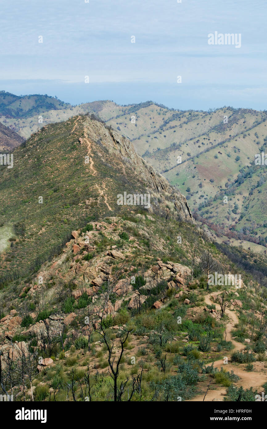 Blue Ridge Trail at the Stebbins Cold Canyon preserve, off Winters