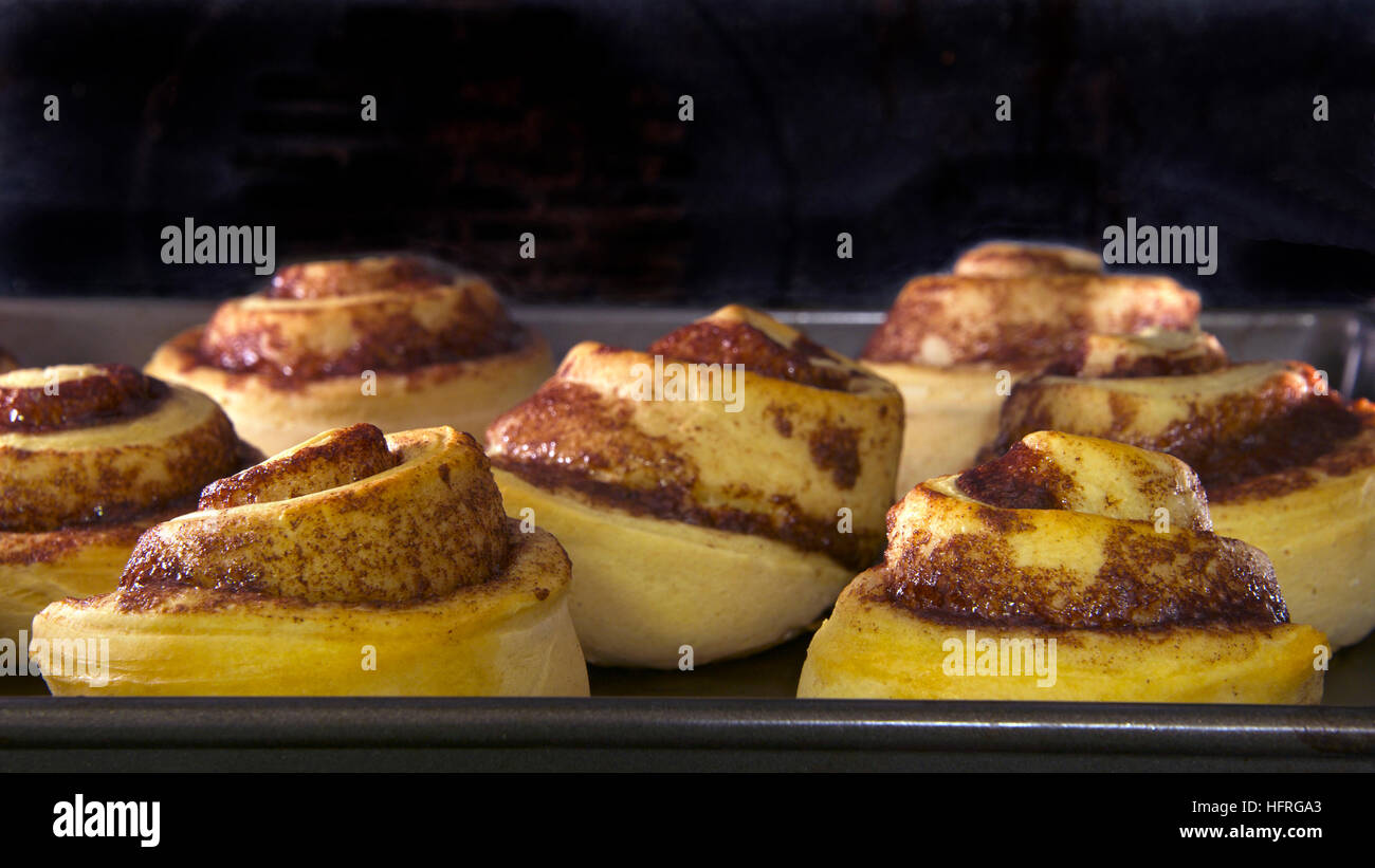 Cinnamon rolls baking in a convection oven, almost done Stock Photo Alamy