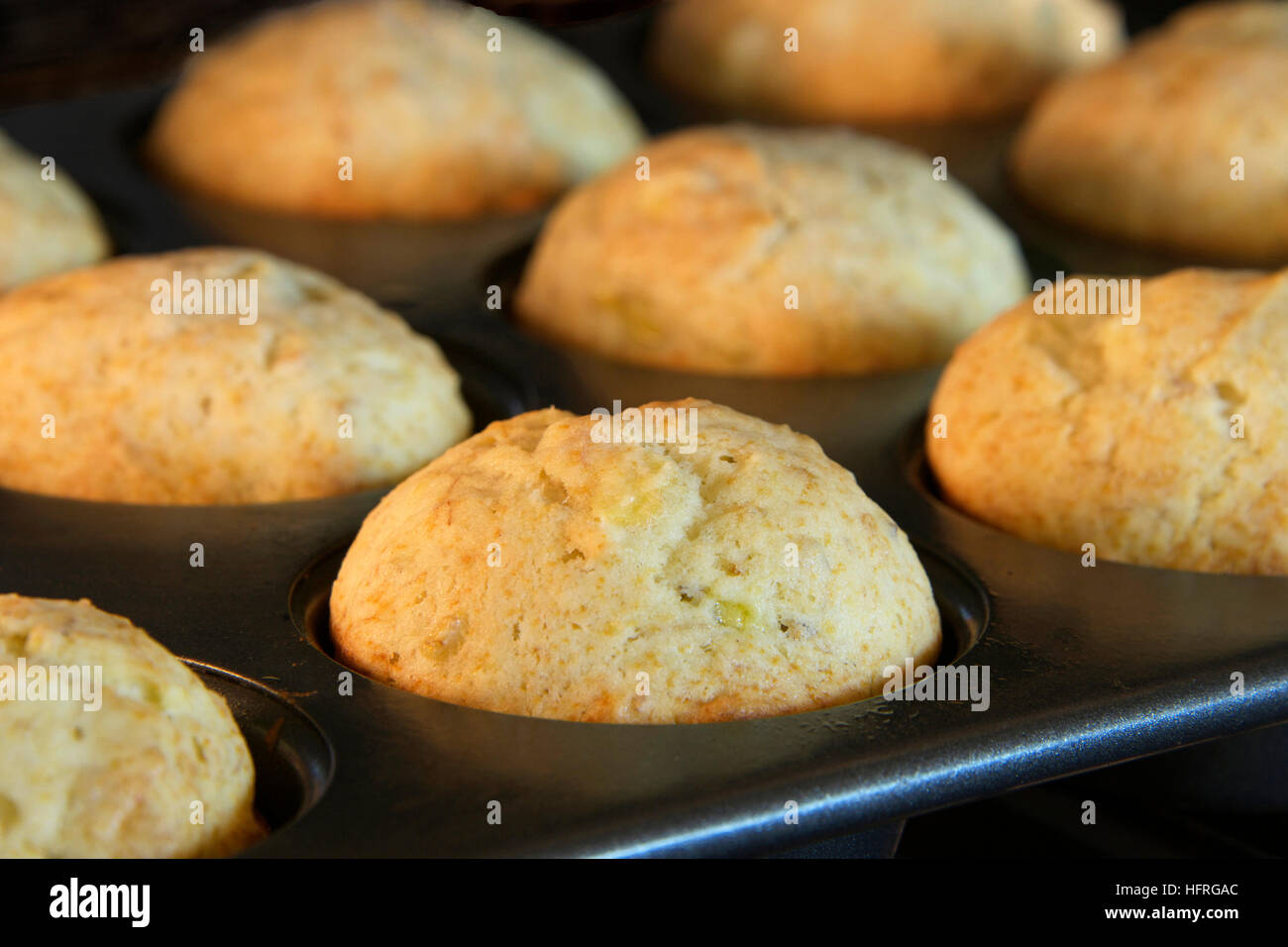 Convection oven hires stock photography and images Alamy