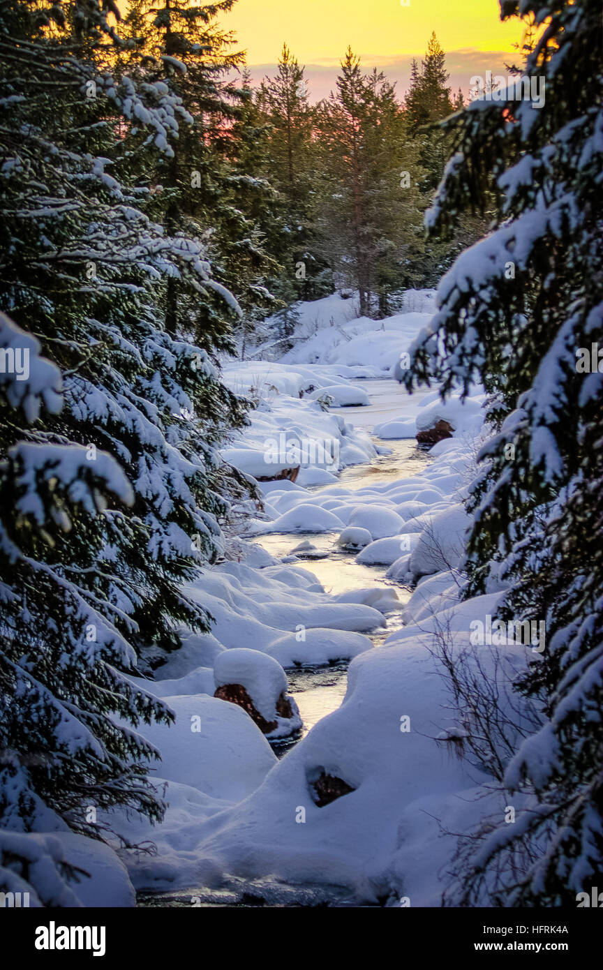 Half frozen river, between snow clad trees Stock Photo