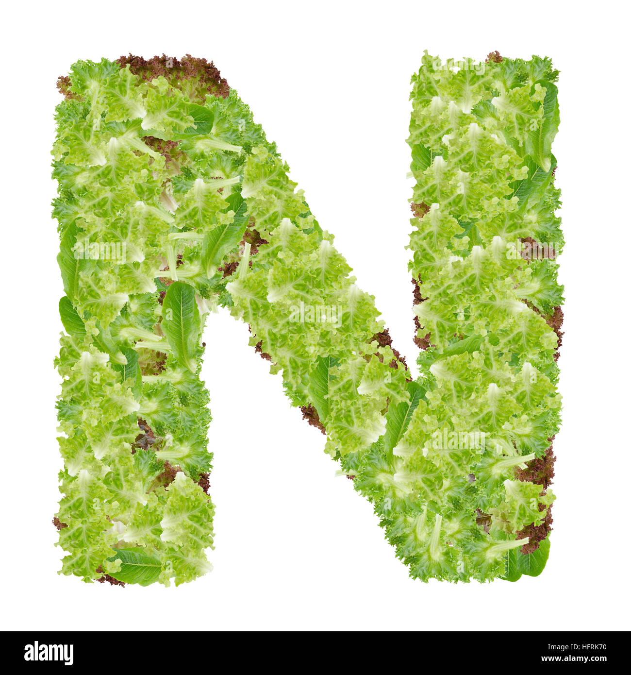 Letter N alphabet with hydroponics leaf ABC concept type as logo ...