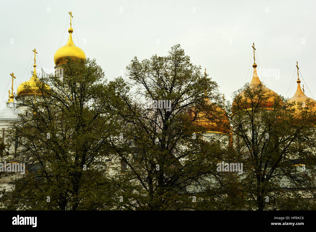 Golden roofs of the Kremlin seen through trees, Moscow, Russia Stock Photo