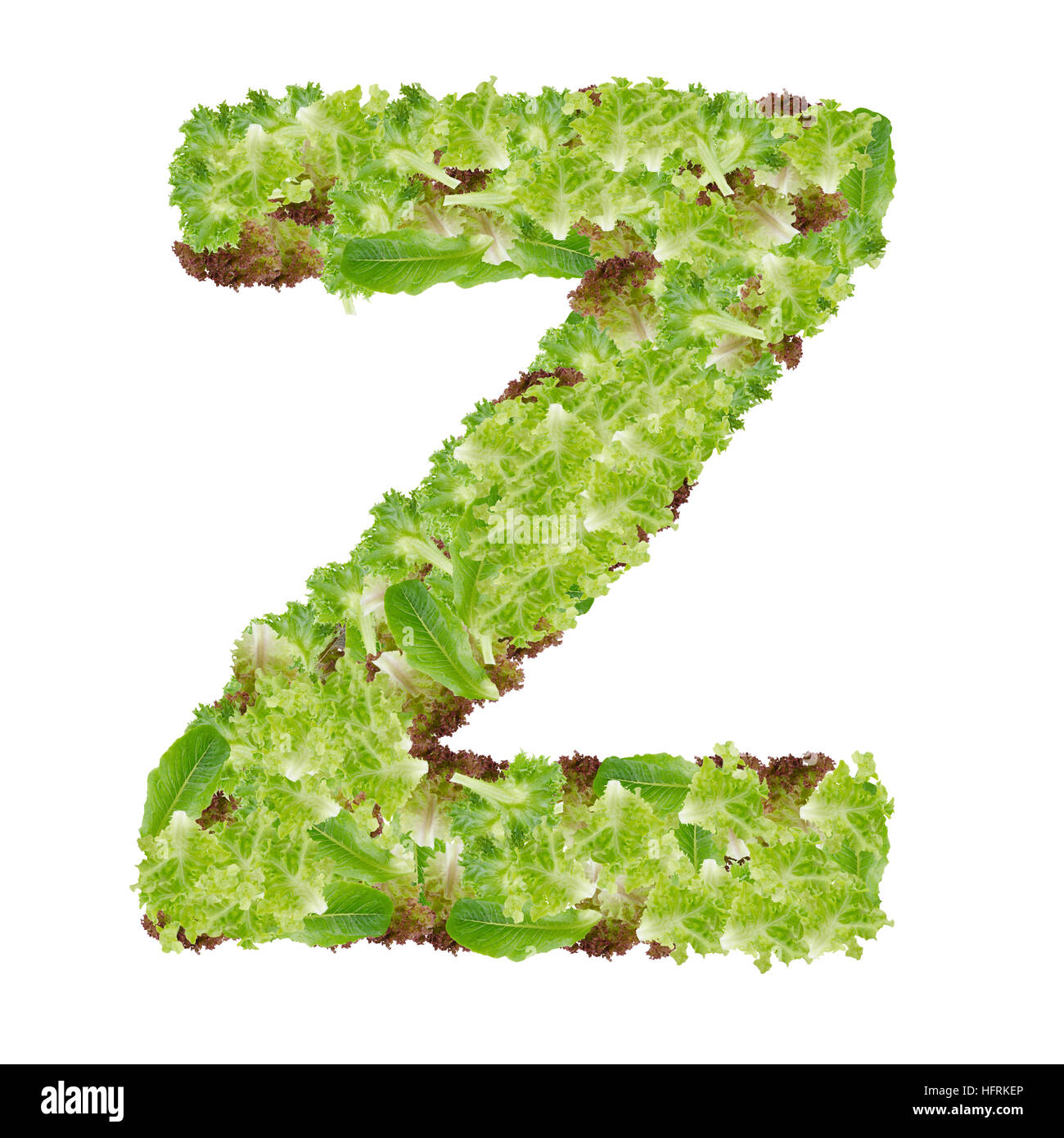 Letter Z alphabet with hydroponics leaf ABC concept type as logo ...