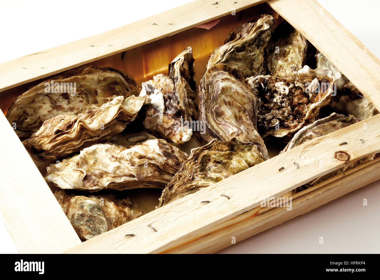 Crates of oyster shells hi-res stock photography and images - Alamy
