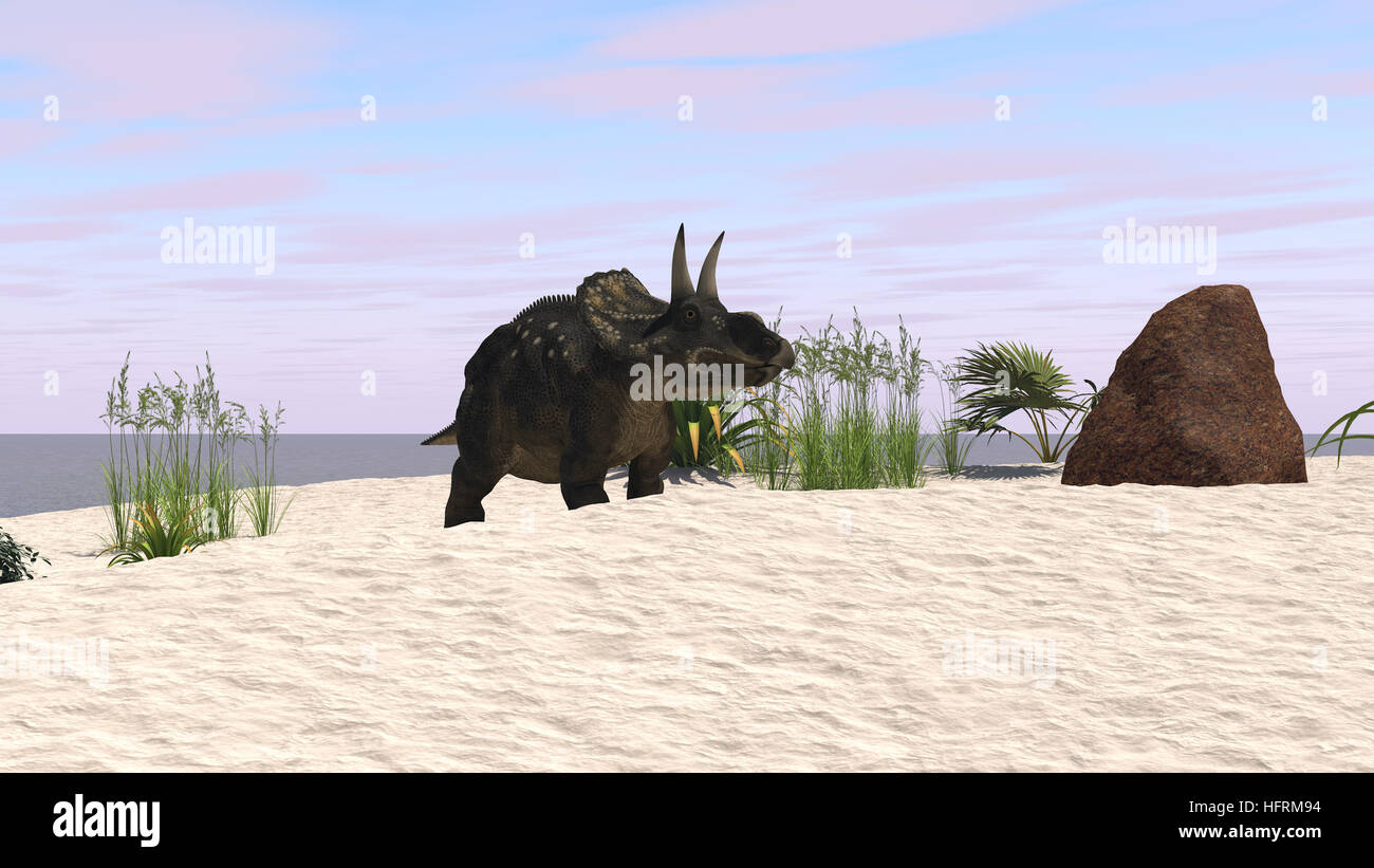 Disor Raptor Diceraptor hi-res stock photography and images - Alamy