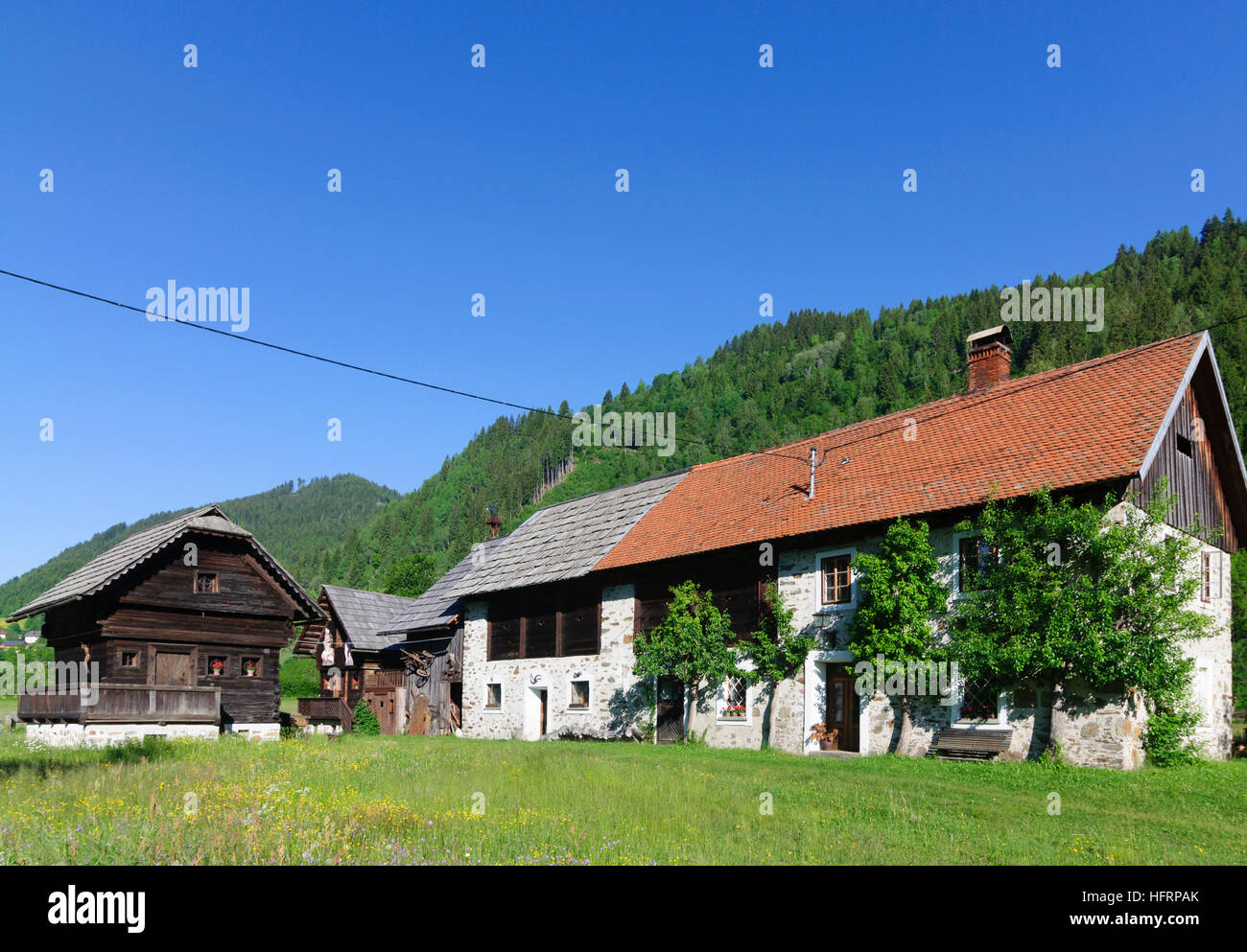 Predlitz-Turrach: farm houses in Mur Vallley, Murtal, Steiermark, Styria, Austria Stock Photo