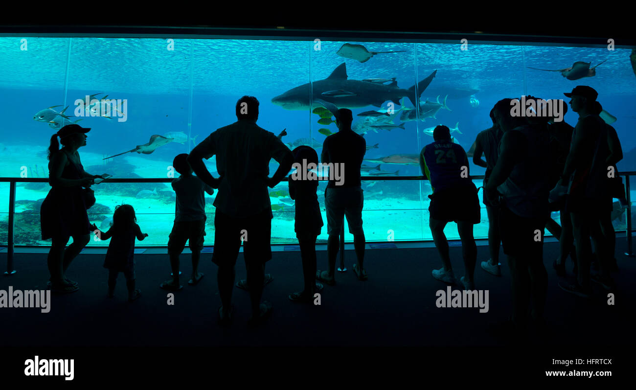 Sea World Aquarium, Gold Coast, Australia Stock Photo Alamy