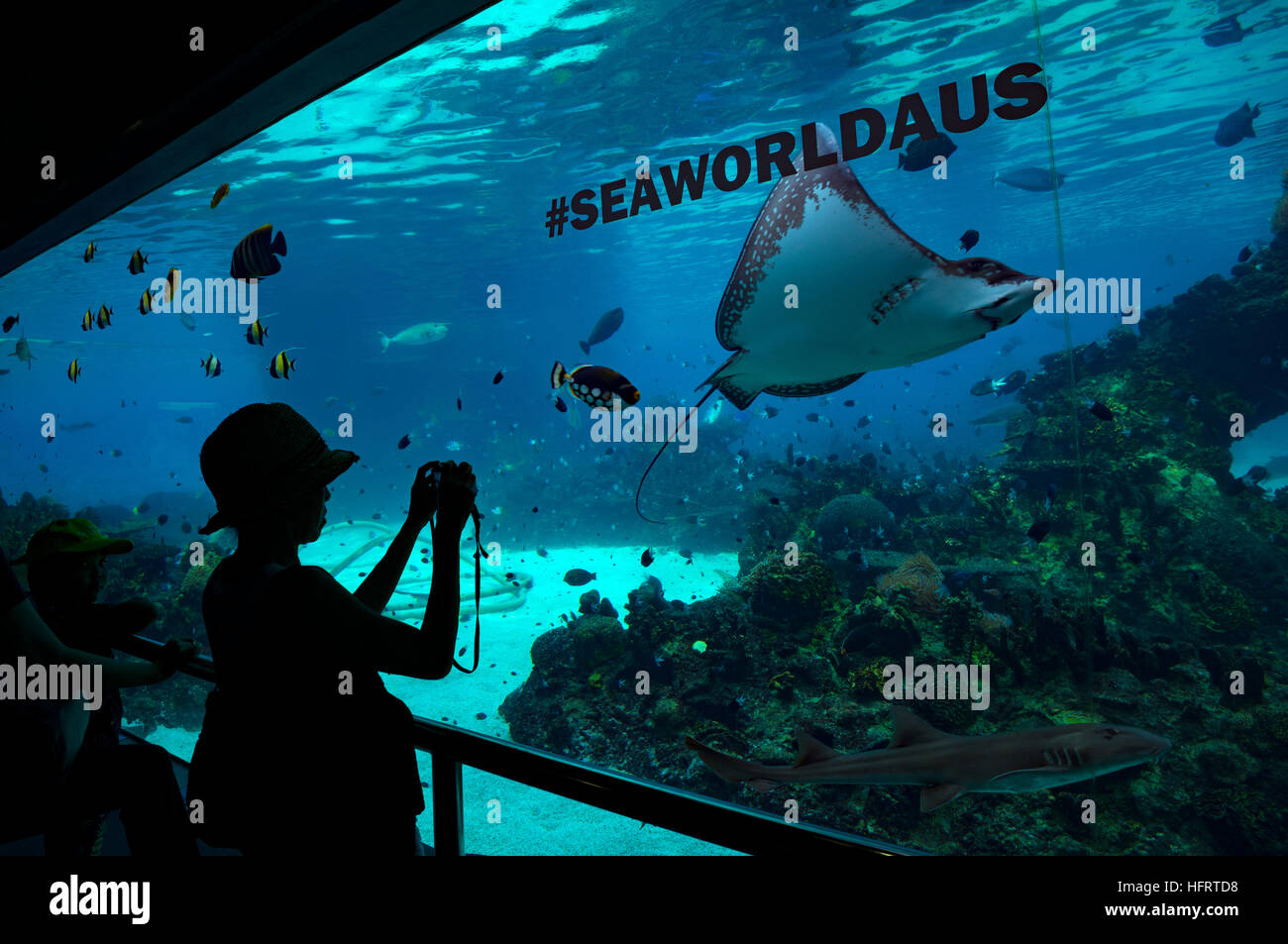 Sea World Aquarium, Gold Coast, Australia Stock Photo Alamy