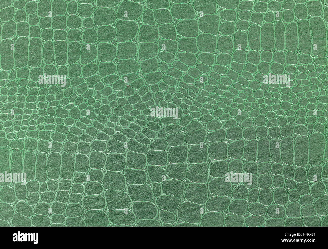 Green leather texture background. Closeup photo. Reptile skin. The skin of a crocodile or a snake, Stock Photo