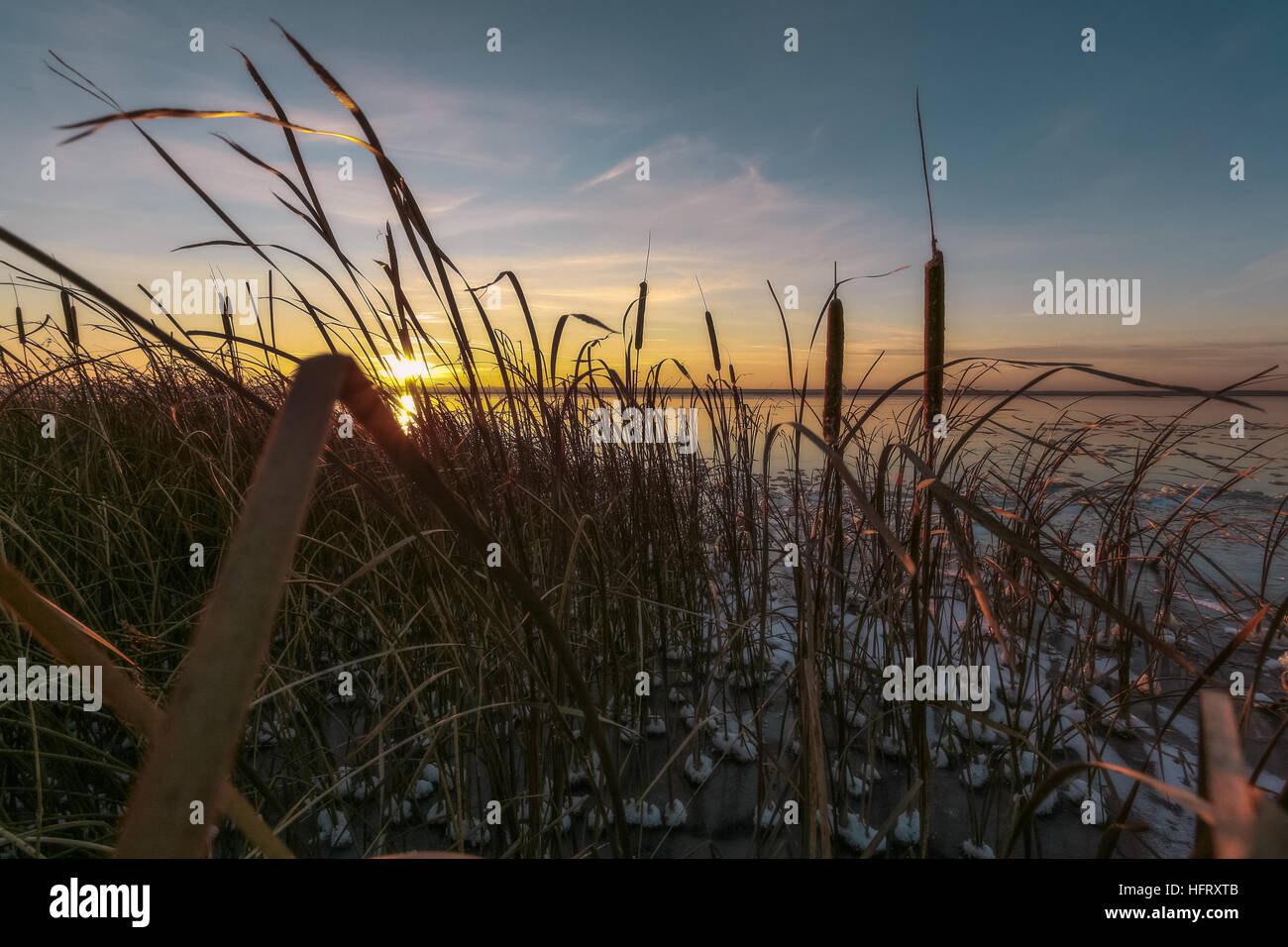 Ice cane hires stock photography and images Alamy