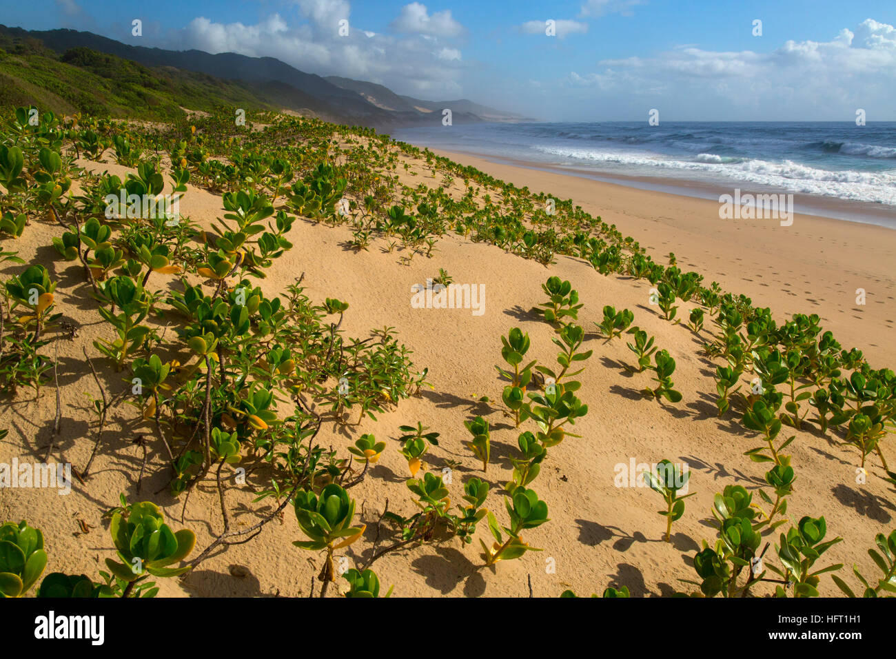 Thonga Beach Indian Ocean coast of Maputuland in KwaZulu-Natal Stock Photo